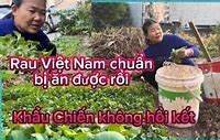 Cuộc Sống Vương Lan Ở Trung Quốc