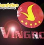 Logo Vingroup Không Nền Trong Photoshop 2023 Download