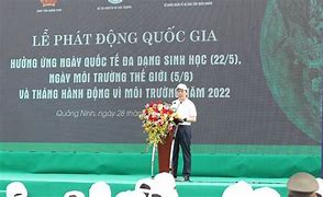 Ngày Quốc Tế Môi Trường