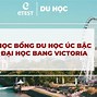 Suất Học Bổng Du Học Úc Tại Việt Nam Cần Những Gì Không