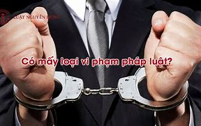 Vi Phạm Pháp Luật Là Gì Tiếng Anh